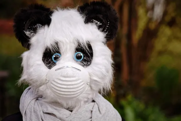 SilverPlay Casino Tugi